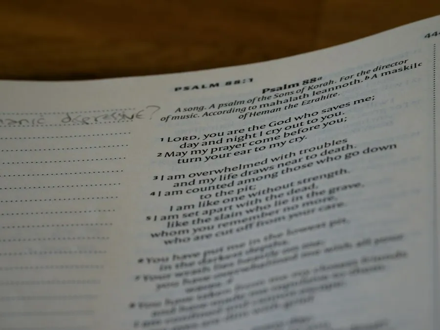 Photo how to read a menu guide